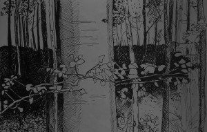 drawing of woods