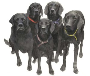 Black Labrador Squad