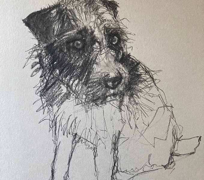 Charcoal Sketch Terrier