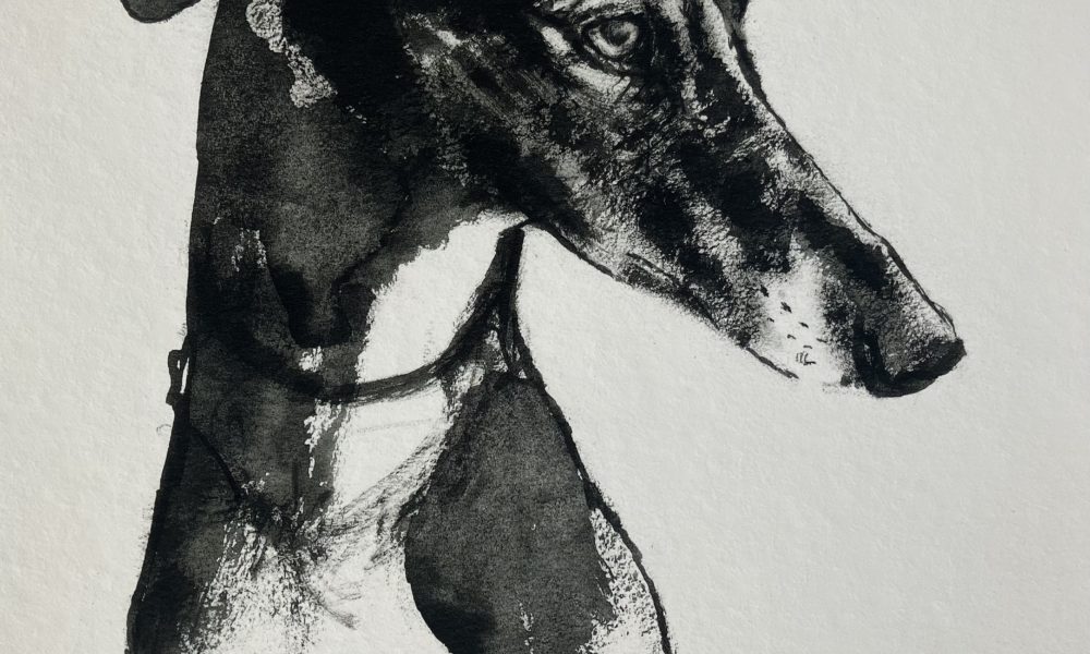 Fine Art Print – Galgo