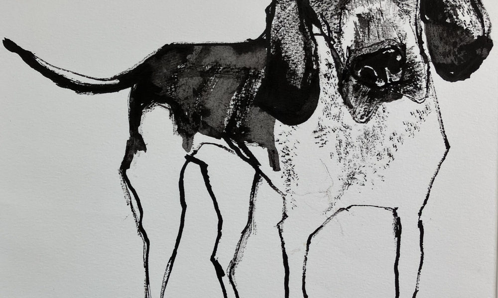Black Hound Dog