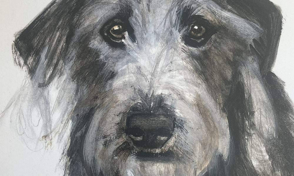 Grey lurcher