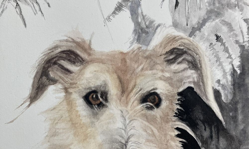 Lurcher with ink